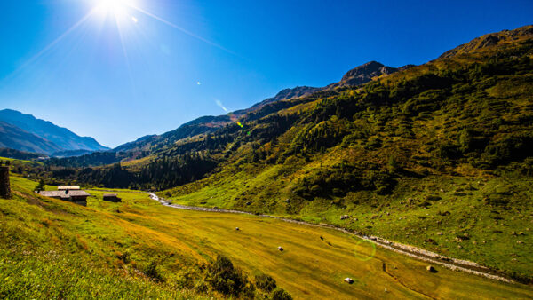 Wallpaper Plants, Blue, Mountain, Field, Sunlight, Grass, Trees, Sky, Nature, Bushes, Greenery