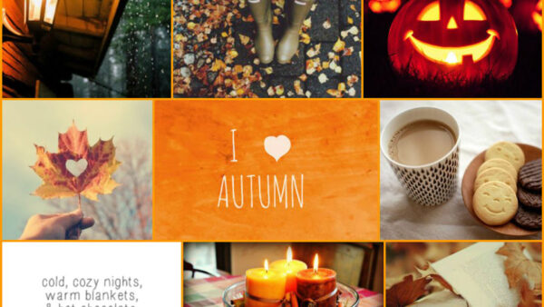 Wallpaper Cookes, Pumpkin, Collage, Lights, Autumn, Season, Fall, Candles