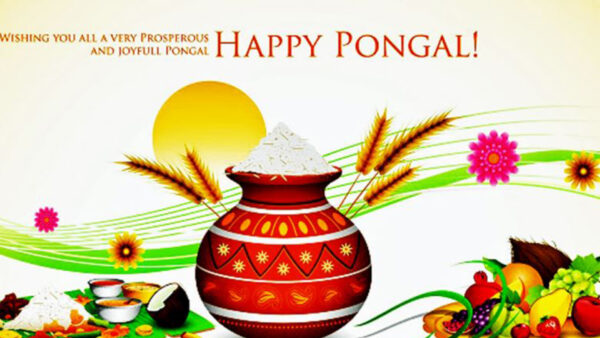 Wallpaper White, And, Background, You, Very, Prosperous, Joyful, Wishing, All, Pongal