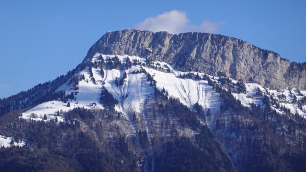 Wallpaper Covered, Sky, During, Mountain, Daytime, Nature, Snow, With, Background, Blue, Trees