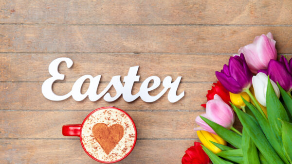 Wallpaper Flowers, Mobile, Happy, Leaves, Easter, Colorful, Desktop, Green, Tulip, Cappuccino