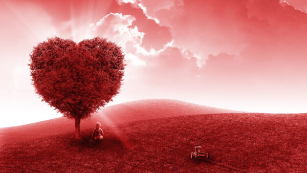 Wallpaper Red, Love, Tree, Heart