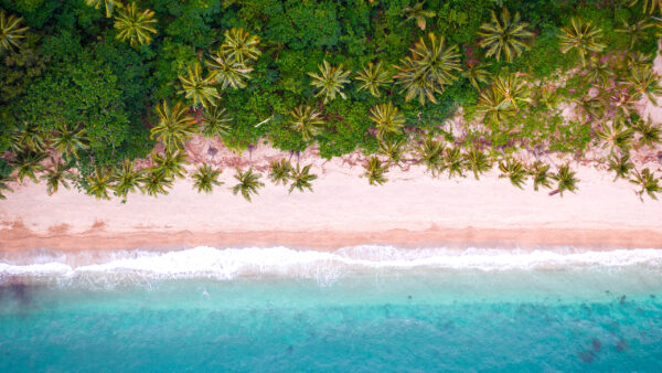 Wallpaper Aerial, View, Tropical, Beach