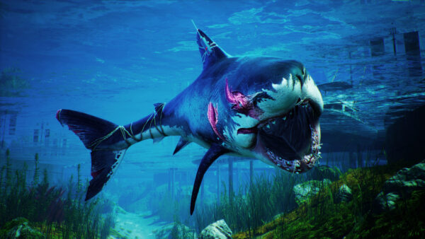 Wallpaper Maneater, Shark, White, Blue