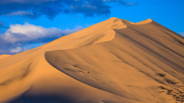 Wallpaper Sand, Desert, Dunes