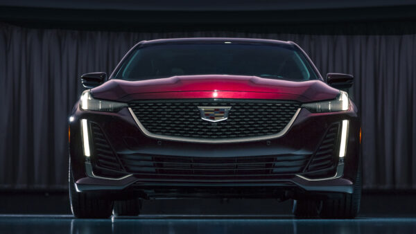 Wallpaper Cadillac, Premium, CT5, 2020, Luxury, Car