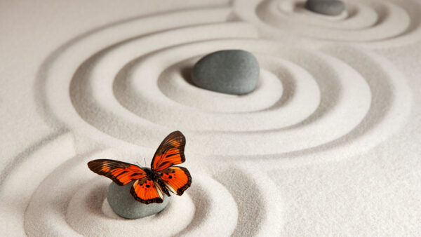 Wallpaper Sand, Butterfly, Stone, Monarch