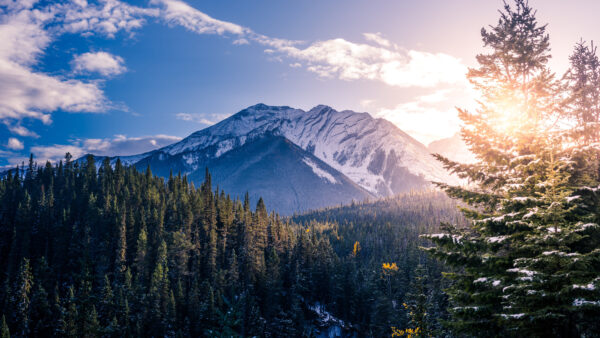 Wallpaper Mobile, White, Capped, Clouds, Blue, Sunlight, Spruce, Snow, Under, Trees, Desktop, With, Nature, Landscape, View, Mountains, Slope, Sky