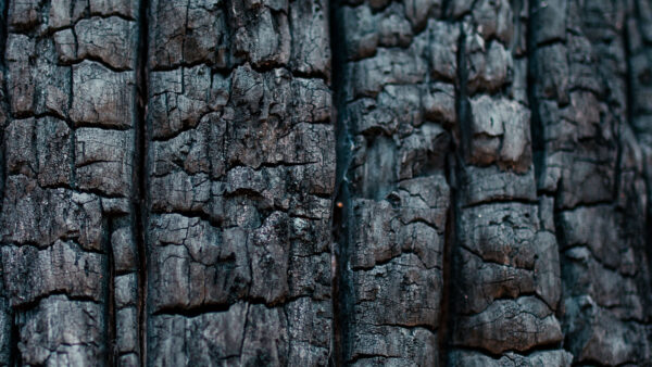 Wallpaper Coal, Wood, Closeup, Desktop, Black, View, Mobile, Texture