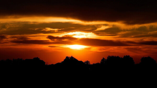 Wallpaper During, Under, Sky, Desktop, Cloudy, Sunset, Shadow, Trees