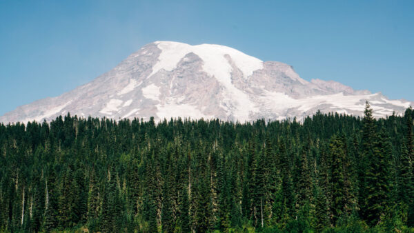 Wallpaper Blue, Mountain, Mobile, Forest, Desktop, Trees, White, Covered, Under, Sky, Nature