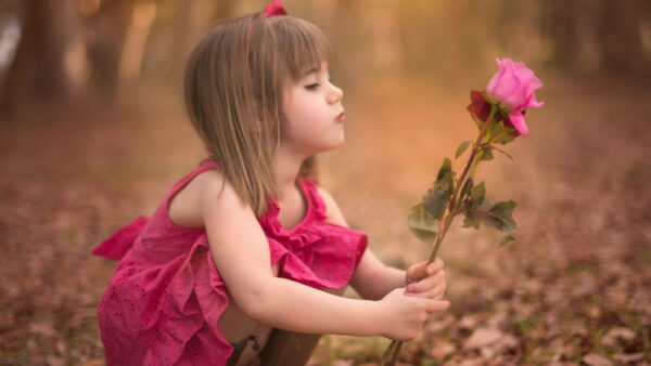 Wallpaper Blur, Background, Rose, Pink, Cute, Sitting, Flowers, Little, Girl, Dress, Wearing, Aesthetic, With