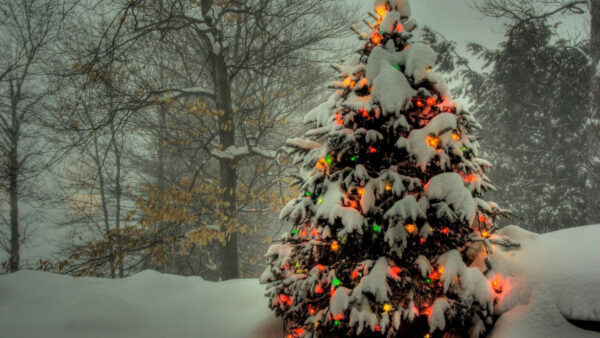 Wallpaper Christmas, Desktop, Tree, Snow, Lights, With, Decorated