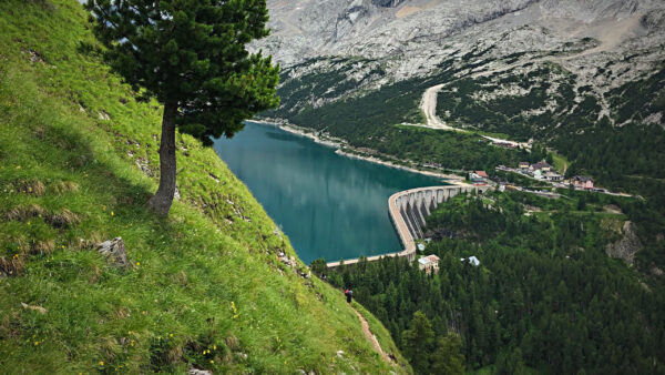 Wallpaper Lake, View, Aerial, Nature, Mountains, Trees