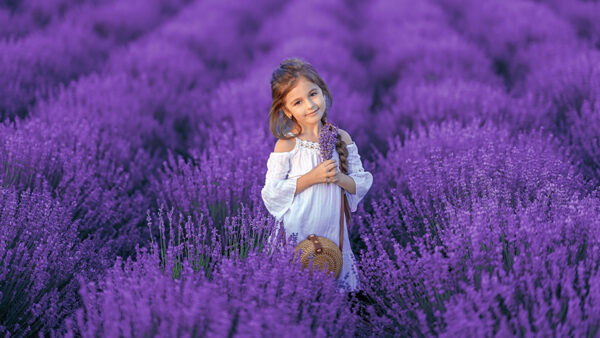 Wallpaper Lavender, Little, Background, Field, Flowers, With, Standing, Purple, White, Wearing, Dress, Girl, Cute