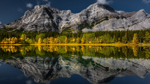 Wallpaper Reflection, Fall, River, Green, Yellow, Autumn, Trees, Background, Nature, Mountain