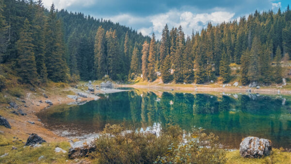 Wallpaper Clouds, Lake, Background, Nature, Sky, Trees, Forest, Blue, Green, Under, White