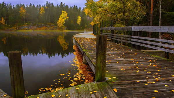 Wallpaper Dock, Lake, Reflection, Autumn, Green, Nature, Wood, Yellow, Forest, Beautiful, Trees, Leaves, Scenery