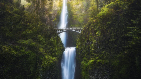 Wallpaper Nature, Bridge, Background, Landscape, Waterfalls, Trees, Green, View