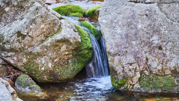 Wallpaper Rocks, View, Stream, Stones, Nature, Algae, Closeup, Mobile, Desktop, Waterfall