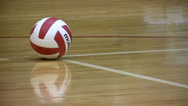 Wallpaper Floor, Red, Court, Volleyball, White