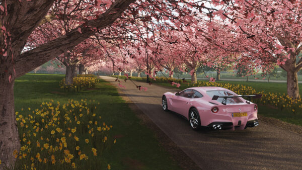 Wallpaper Horizon, Car, Forza, Pink