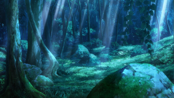 Wallpaper The, Tsubaki, Kunoichi, Forest, Heart