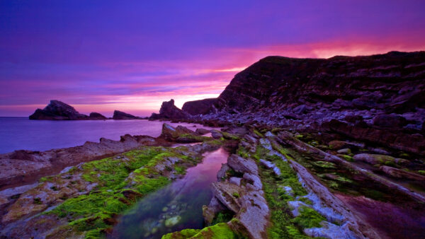 Wallpaper Mupe, England