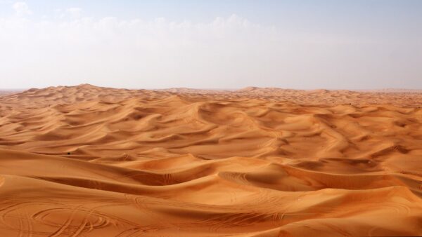 Wallpaper Desert