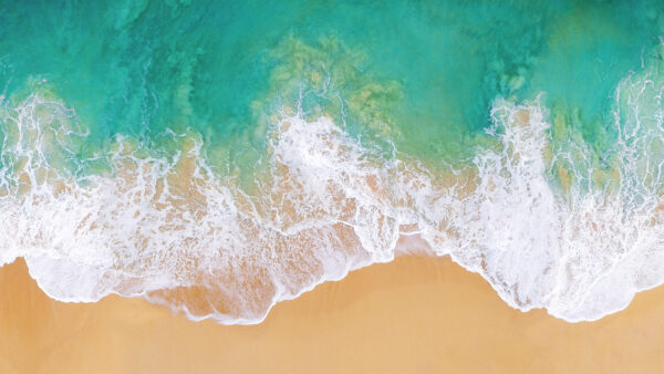 Wallpaper Beach, View, Aerial