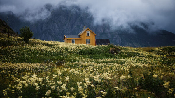 Wallpaper Desktop, With, Cottagecore, Field, Beautiful, Flowers, Mobile, And, Touching, Background, Mountain, Clouds, Cottage