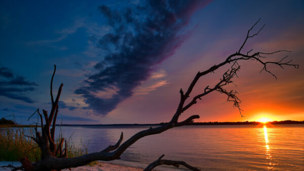 Wallpaper Nature, Tree, Desktop, Cloudy, Mobile, During, North, Sunset, Carolina, With, River, Sky, Background, And