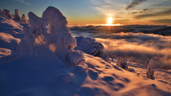 Wallpaper During, Snow, Field, With, Fog, Sunrise, Winter, Desktop