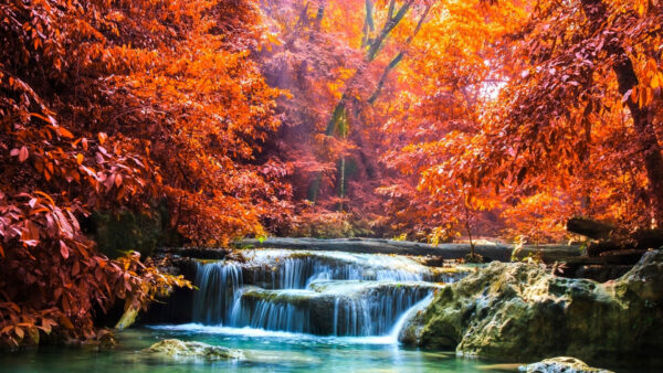 Wallpaper Colorful, With, Trees, Nature, Autumn, Pouring, And, River, Sunrays, Desktop, Between, Rocks, View, Waterfall, Leafed, Landscape