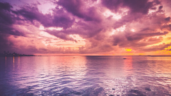 Wallpaper During, Cloudy, Sky, Above, Water, Purple, Nature, Body, Sunset