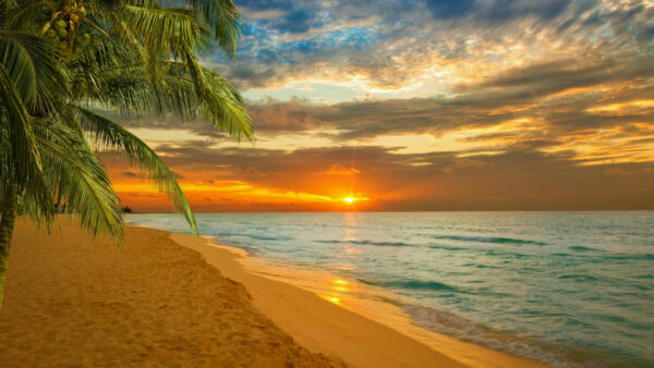 Wallpaper Palm, Sunset, Sky, Sand, Background, Ocean, Black, Beach, Clouds, Yellow, Trees, During, Waves