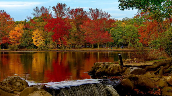 Wallpaper Waterfalls, Desktop, Water, With, Park, Trees, River, Nature, Reflection, Surrounded