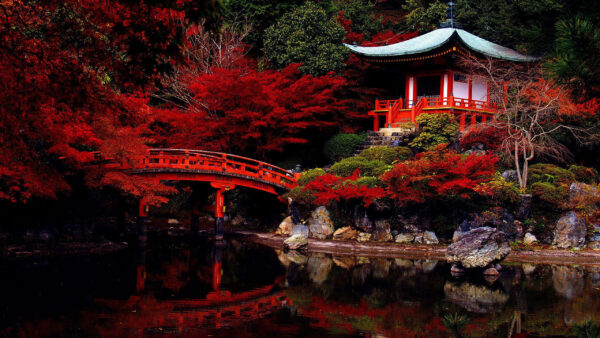 Wallpaper Desktop, Garden, Japanese, Japan