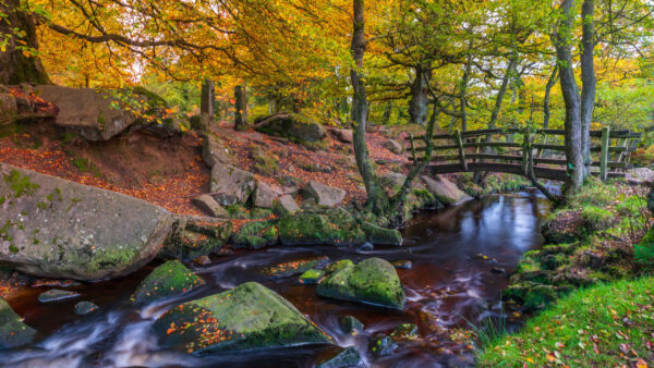 Wallpaper Landscape, With, During, River, Nature, And, Desktop, Fall, Bridge, Forest, Stones