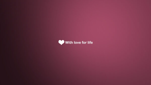 Wallpaper Life, Desktop, Love, For, Inspirational