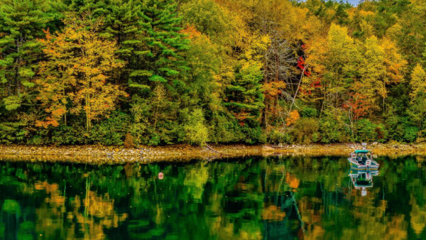 Wallpaper Colorful, Water, Autumn, With, River, Desktop, Motor, Boat, Nature, Trees, Reflection, Leafed