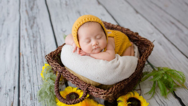 Wallpaper Fur, Rope, Baby, Sleeping, Inside, Desktop, Wearing, Woolen, Cute, Dress, NewBorn, Knitted, Hemp, Cloth, White, Basket, Yellow