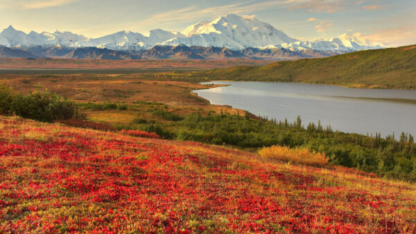 Wallpaper Mountain, And, Covered, With, Nature, Lake, Desktop, Landscape, Snow