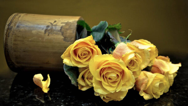 Wallpaper Leaves, Roses, Flowers, Yellow, Green, Bunches, With