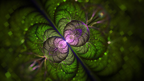 Wallpaper Desktop, Four, Clover, Green, Leaf, Purple, Fractal