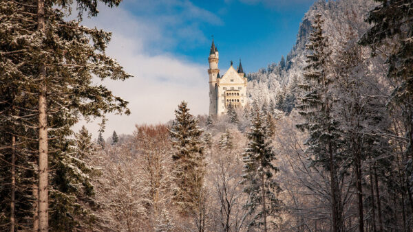 Wallpaper Germany, Castle, Mobile, Blue, Bavaria, Background, Travel, Neuschwanstein, Sky, Desktop