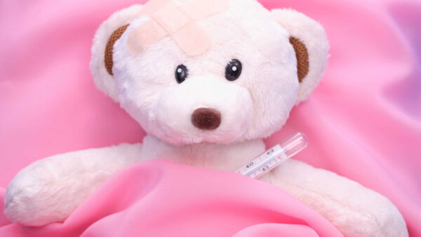 Wallpaper Bear, Pink, Cloth, Background, Teddy