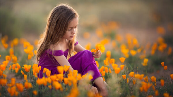Wallpaper Dress, Girl, Sitting, Yellow, Little, Wearing, Flowers, Field, Cute, Purple