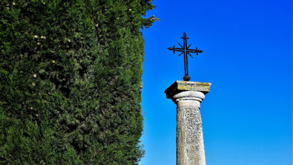 Wallpaper Sky, Side, Tree, Blue, And, With, Desktop, Background, Cross