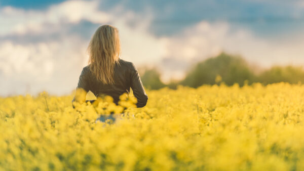 Wallpaper Alone, Girl, Yellow, Backside, Flowers, Field, Standing